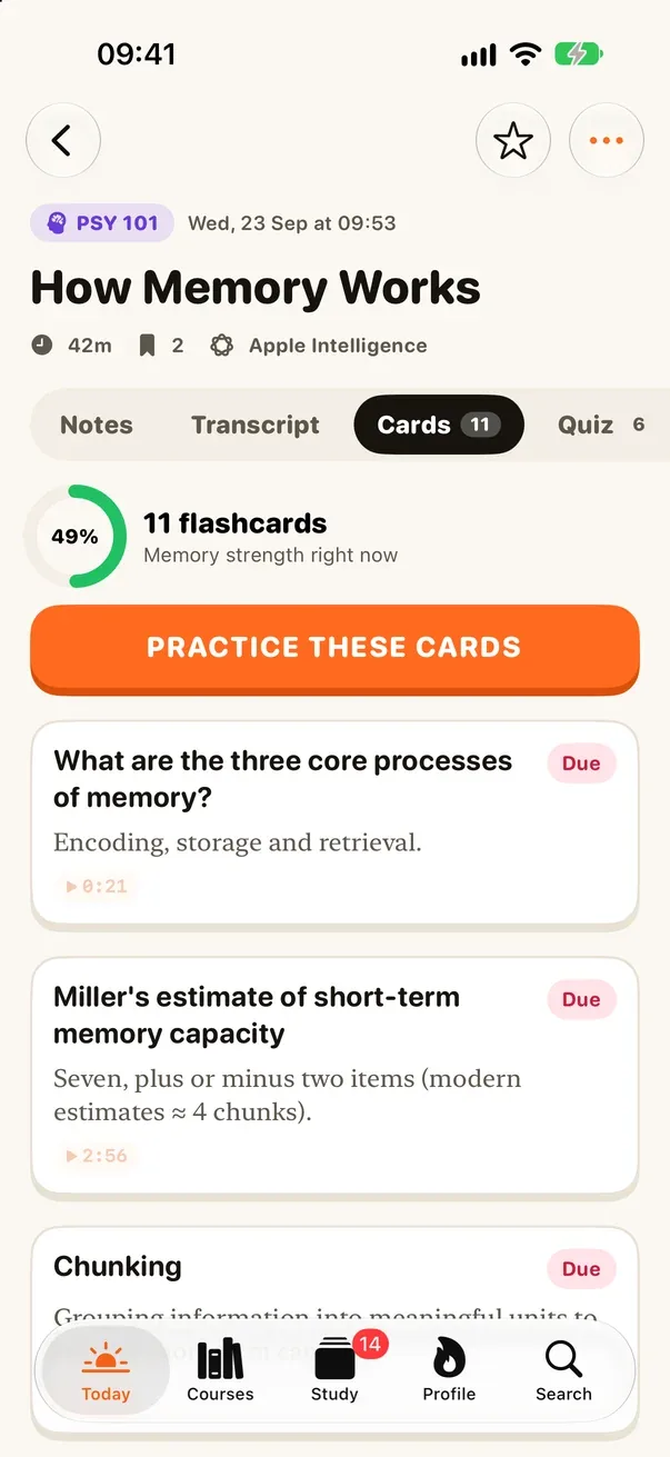 Cards tab: 11 flashcards from the lecture, memory strength 49%.